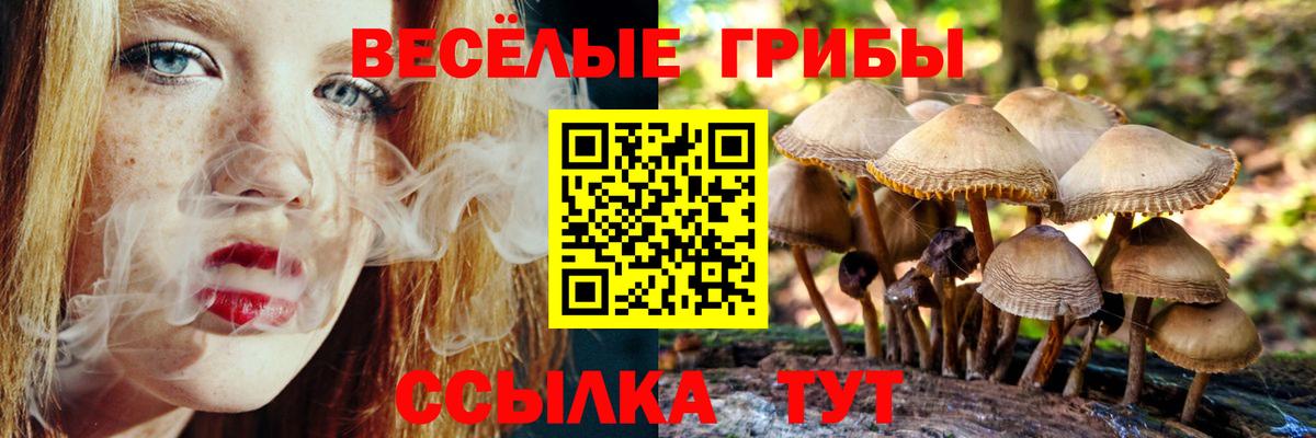 Галлюциногенные грибы Magic Shrooms  Галлюциногенные грибы ЛСД  Вход с VPN  Кисловодск 